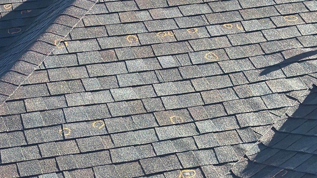 Inspection chalk circles highlighting hail strike impacts on an asphalt shingle roof in Kaysville, Utah.