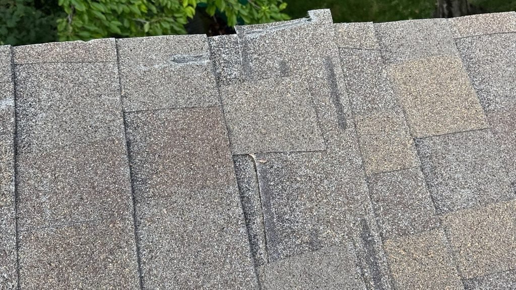Wind-damaged architectural shingle tab lifted with a separated adhesive seal along the roof edge.