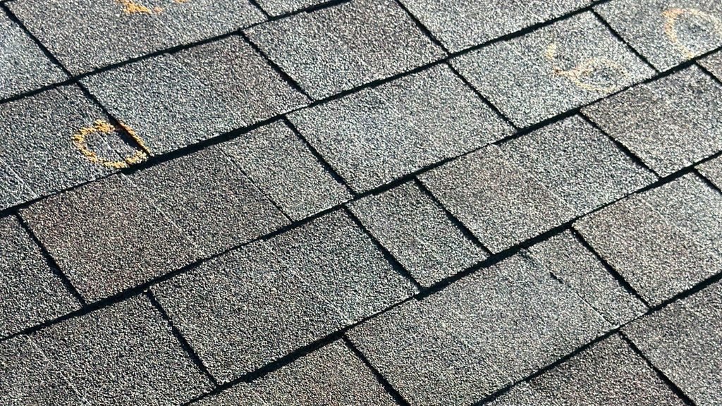 Close-up of asphalt shingles marked with chalk circles to document individual hail strike impacts.