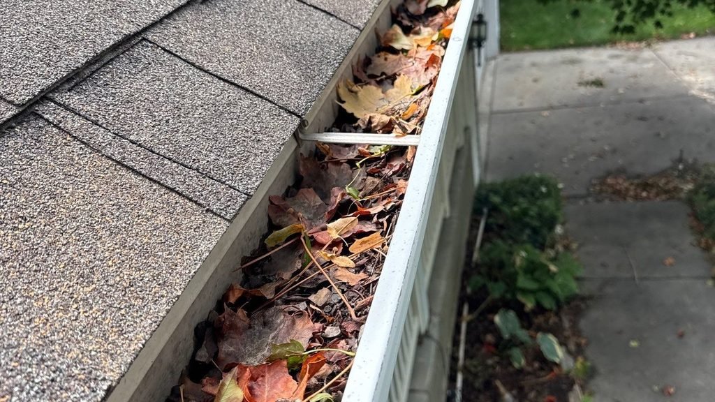 Eavestrough gutter clogged with fallen leaves, standing rainwater, and shingle granules after a severe storm.