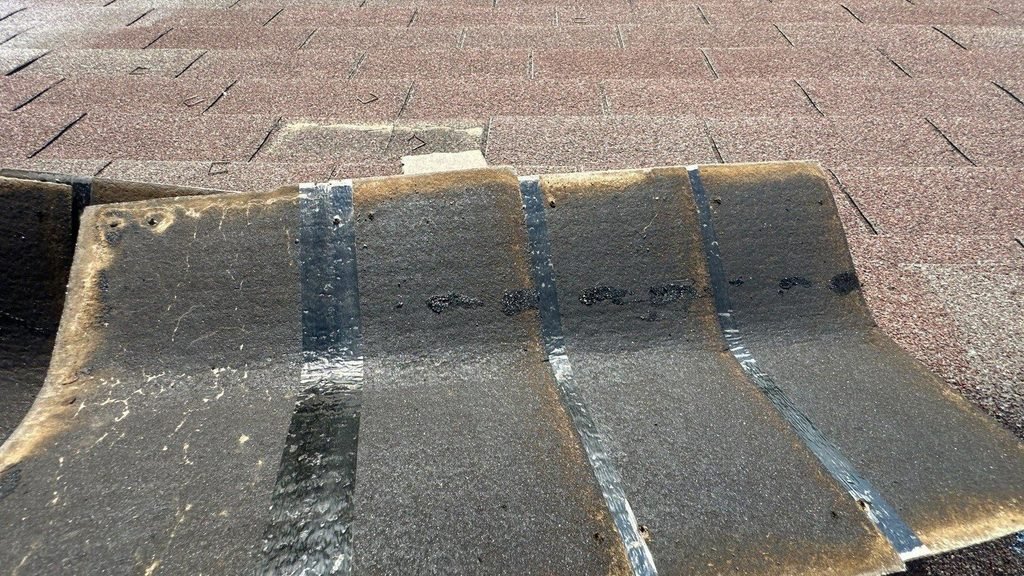 Removed asphalt shingle held up to show its underside and the seal strips that bond it to the shingle below