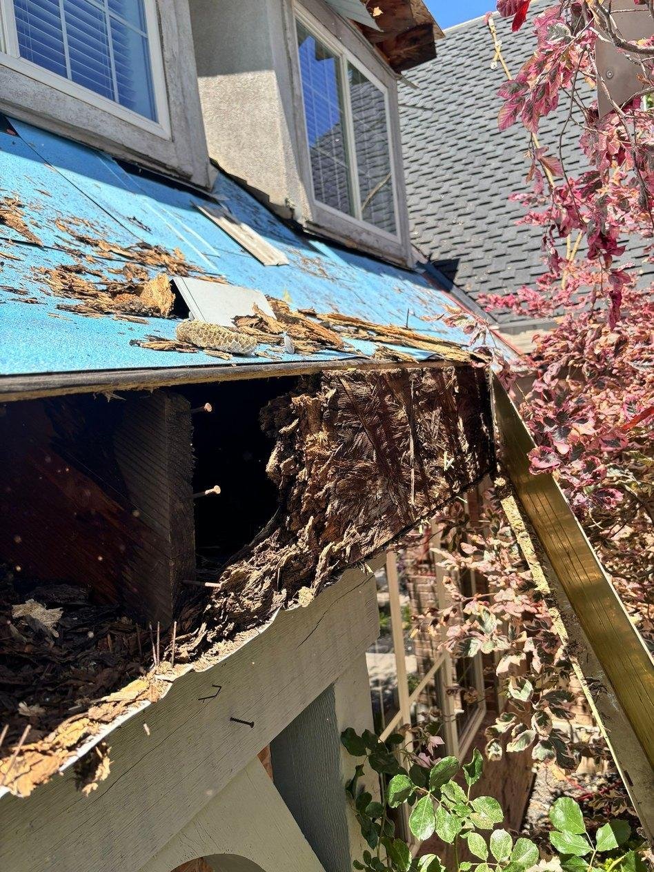 Rotted structural fascia board and decaying roof truss framing tails exposed along eave perimeter on a Mapleton, Utah home